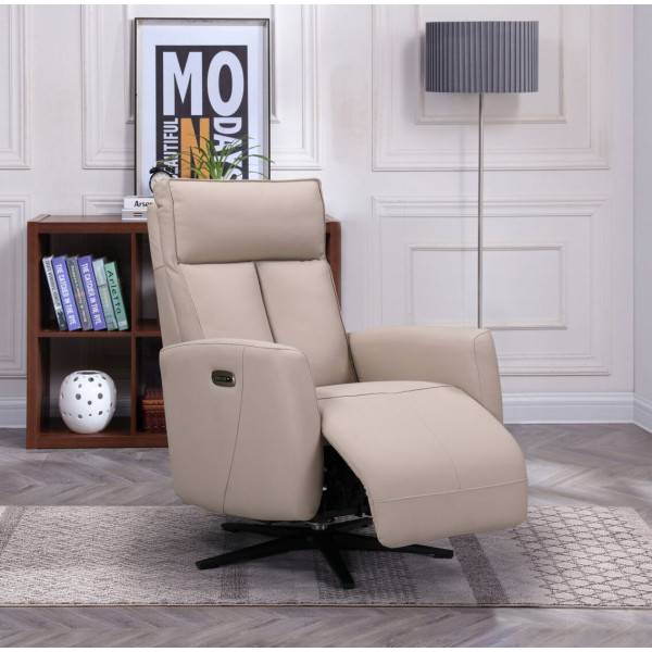 Fauteuil en cuir de qualité proche de Lyon – L’élégance et la durabilité à l’état pur